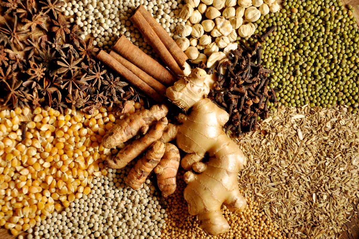 produsen bumbu nasi kebuli jogja