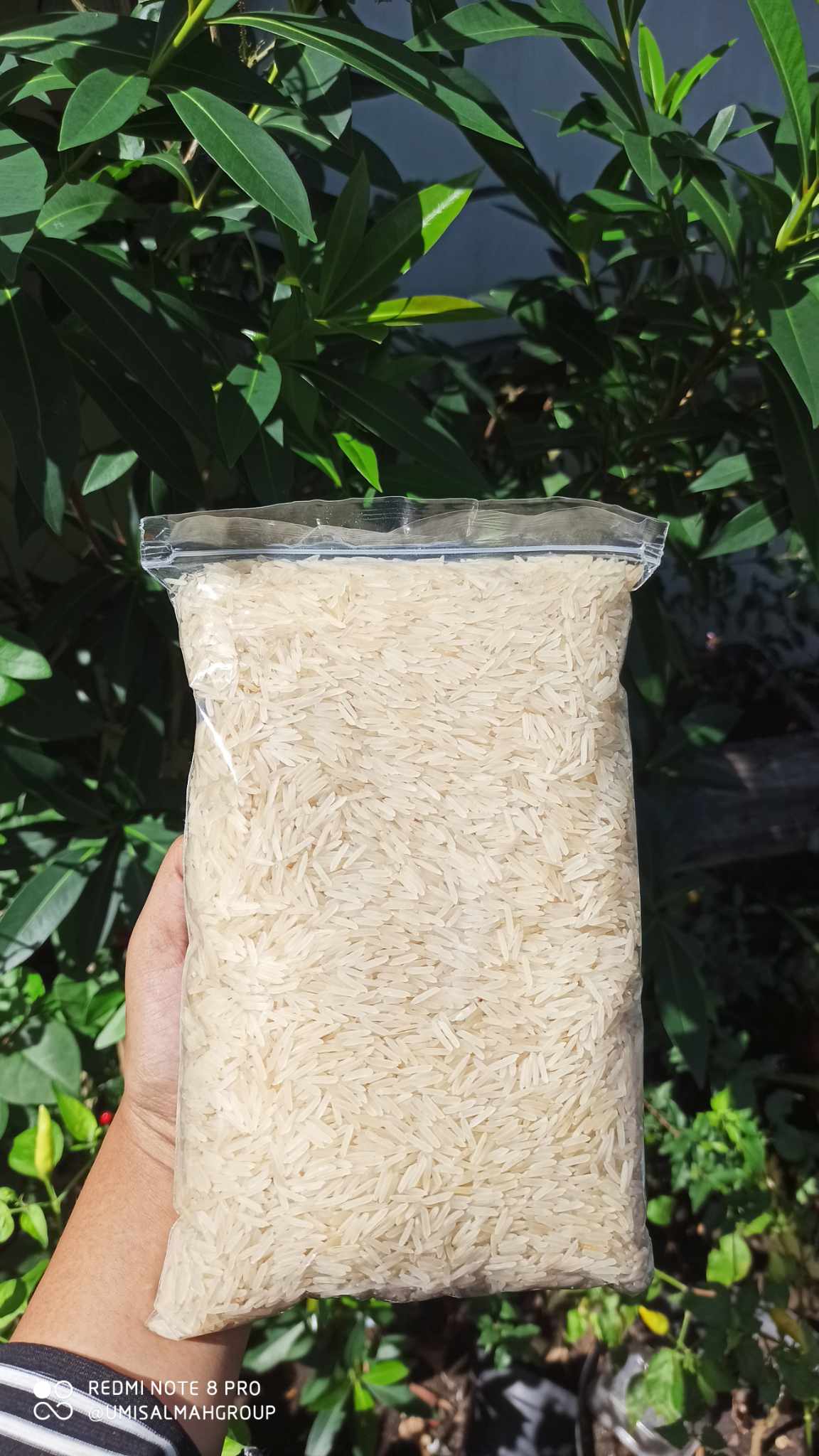 Beras basmati Bantul Yogyakarta